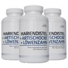 Bergen Milk Thistle Artichoke Dandelion Complex High Dose with 80%