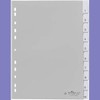 Durable Blanko-Register aus PP (mit blanko Taben) 10-teilig, grau, 644110