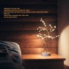Tabletop Bonsai Tree Lamp Adjustable Safe Touch Switch Night Light