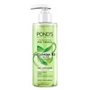 Gel Limpiador Facial Pond's Fruity Hydra Fresh Aloe 200 ml