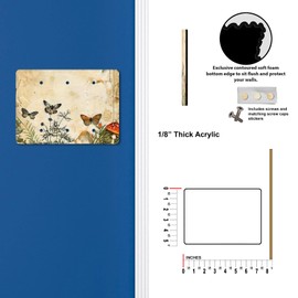 Off The Wall Plates - Vintage Butterfly Classic Decorative Acrylic Cover Triple Blank Wallplate