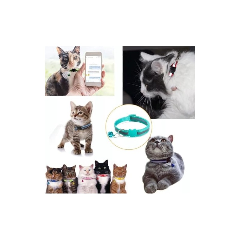 PetyPup Shampoo de Avena y Miel + Collar de Mascota