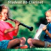 Bb Clarinet For Beginners Students B Flat Clarinet 17 Keys