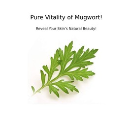 CHARMZONE Mugwort Skin The Original 4.06oz - Made with Mugwort Extract, Refreshing and Nourishing for Hydrated Skin