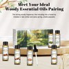 EUQEE 10ml Woody Essential Oils Set - Pure & Nature