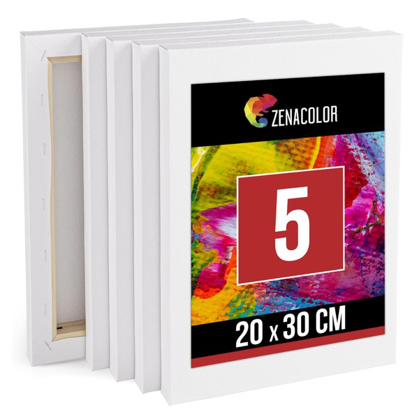 Zenacolor Set of 5 Canvas for Painting 20 x 30 cm – Wooden Frame 100% Cotton 340 GSM – Canvas for Painting for Acrylic Painting, Oil, Tempera – White Canvas for Artists