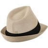 Ashen Fane Kid's Paper Straw with Black Band Fedora Hat,