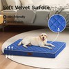 Orthopedic Dog Beds for Large Dogs, Velvet Plush Pet Beds