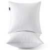 MIULEE 20 x 20 Pillow Inserts (Set of 2) -Throw