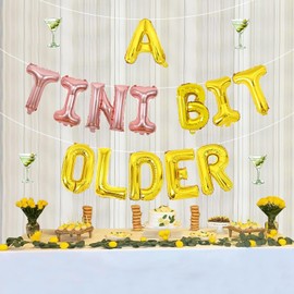 Wonmelody A Tiny Bit Older Decorations Tiny Bit Older Banner Martini Birthday Decorations Lime Balloons Mexican Fiesta Banner Cinco De Mayo Taco Bar Decoration Carnival Fiesta Bday