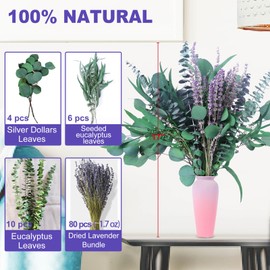 beerfingo 100 PCS Mix Dried Eucalyptus & Lavender Flowers Bundles for Shower, 17'' Natural Real Hanging Silver Dollar Eucalyptus Leaves Stem, Fresh Shower Plants, Fragrance, Wedding Decor