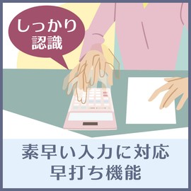 カシオ 本格実務電卓 10桁 検算機能 グリーン購入法適合 デスクタイプ DS-10WK