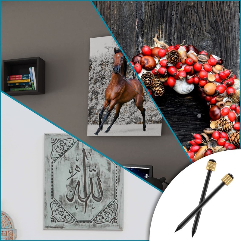 Bonsicoky Picture Hanging Nails, Black Steel Nails and Brass Head