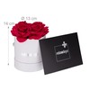 Relaxdays Round Rose Box, 4 Roses, Flower Box, White, Long