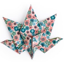 Clairefontaine 95372C - 60 fogli di carta Origami 70g/m², misura 15x15cm, 30 Motivi colori assortiti 2 fogli per motivo), hobby creativi adulti e bambini , Collezione Erbario