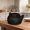 Panacea Products 15321 Humidifying Iron Kettle