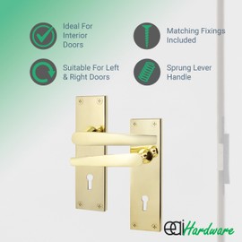 EAI Polished Brass Door Handles for Key Lock | 1 Pair Internal Lock Handles on Backplate | Straight Pattern