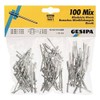 Gesipa 639.11 Blind Rivet Assortment, Pack of 100