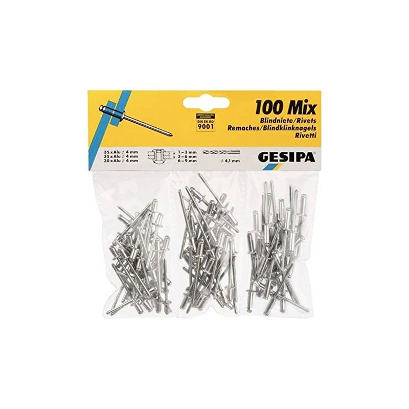 Gesipa 639.11 Blind Rivet Assortment, Pack of 100