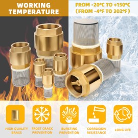 Foot Valve with Filter 2-1/2" NPT, Brass Bottom Valve, Non Return Spring Vertical Check Valve to Filter Impurities, Prevent Backflow of Media for Water Pump, Irrigation, Industrial Piping System DN65