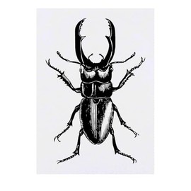 'Black Beetle' Temporary Tattoo - Water Resistant, Skin-Safe, Non-Toxic Transfer (TO00077727)