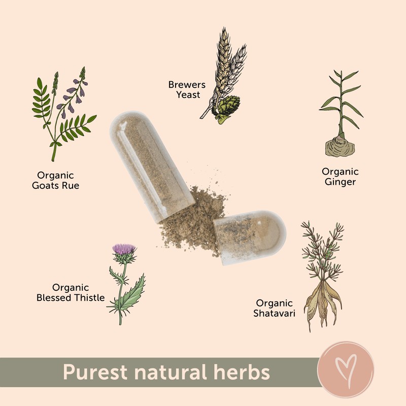 tenderMa Elevate – PCOS Focused Lactation Support with Orgainc Goat’s