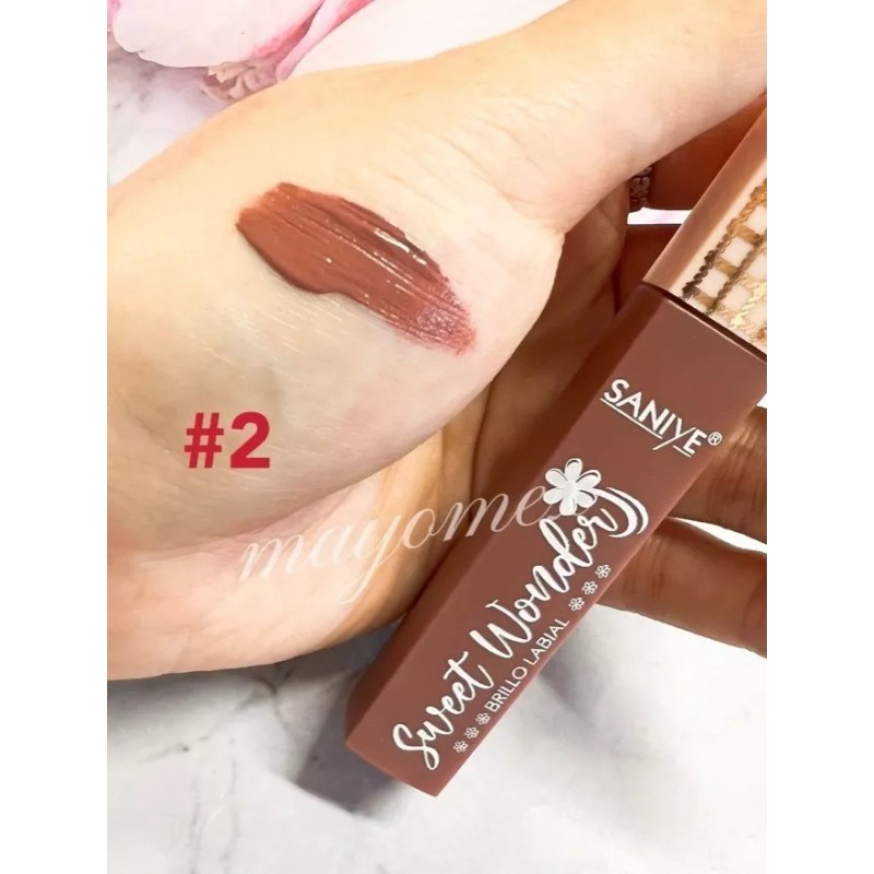 Saniye 6pcs Labial Líquido Indeleble Mate Larga Duración Saniye