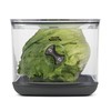 ProKeeper+ by Progressive Stackable Produce ProKeeper Storage Container with Stay-Fresh