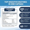 healblend Digestive Health Enzyme Blend Supplement: Advanced Enzyme with Probiotics