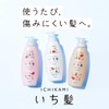 Ichi Hair Smooth Care Shampoo & Conditioner Mini Set 1.4