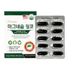 미국 프리미엄 마그네슘 징코 1520mg x 60캡슐_2개월분 기억력개선 혈행건강 Premium