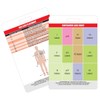 STEMI 12 Lead Reference and 12 Lead EKG (ECG) Placement