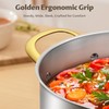 BEZIA 12 Qt Stainless Steel Stock Pot with Lid, Induction