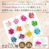 Princess-style ドライフラワー 上質 押し花 こでまり ネイル パーツ レジン 封入 120枚ケース入