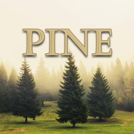 1 oz. Pine/Christmas Pine - Water Based Scent Additive for Fog, Haze, Snow & Bubble Juice - Scents 2 Gallons