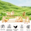 Yasdyri Chicken Perch with Mirror Roosting Bar for Baby Chicks