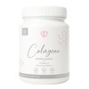 Caro Fit Colágeno Hidrolizado Tipo Polvo Sabor Vainilla 500