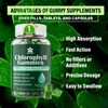 Rootzen 100mg High Concentration Chlorophyll Gummies | Revitalize Skin +