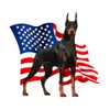 CafePress American Flag Doberman Aluminum License Plate, Front License Plate,