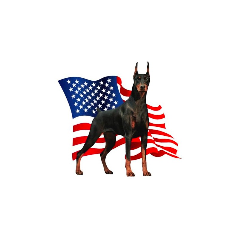 CafePress American Flag Doberman Aluminum License Plate, Front License Plate,