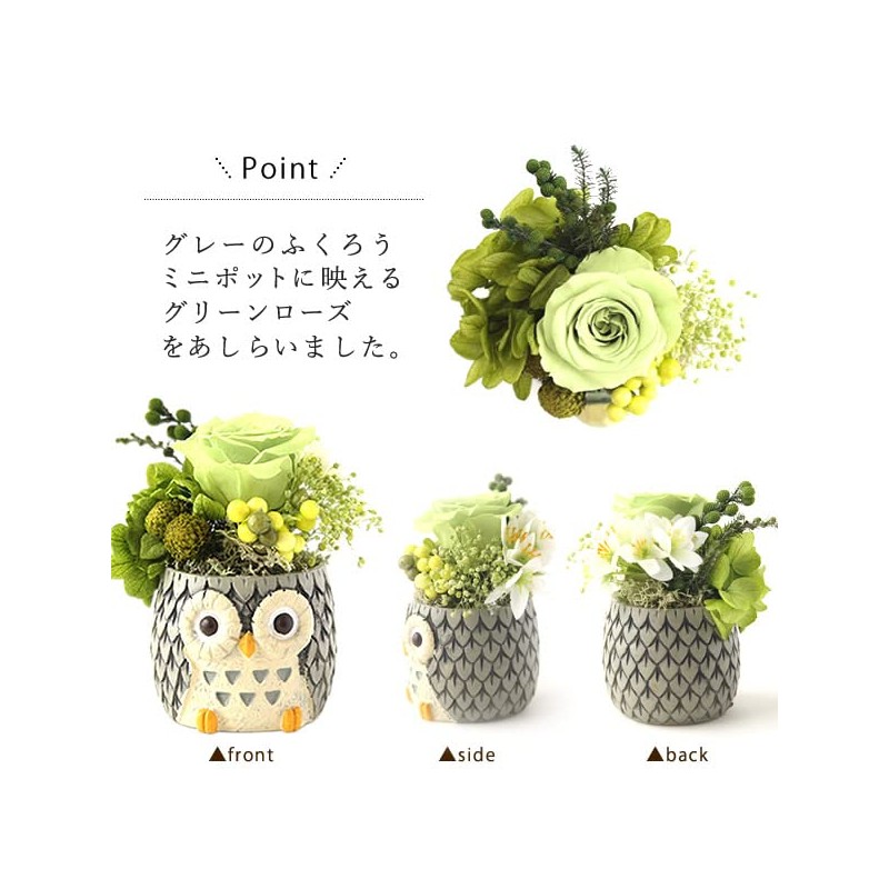 Oimoya Preserved Flower Birthday Present Rose Gift