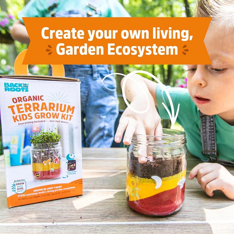 Back to the Roots STEM Certified Kids Terrarium Grow Kit