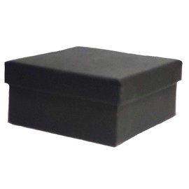 Nature Under Glass Paperweights (Crowned Dragonfly)