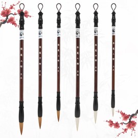SHE SAID OKURRR 6Pcs Chinese Calligraphy Brushes Sumi Brushes Watercolor Brushes Paint Brushes for Beginners