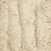 고운 차전자피 분말 1kg(500gx2) 차전차피 가루 실리엄허스크 Fine Psyllium Husk