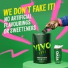 Vivo Vivo Perform Raw Plant Madagascan Vanilla Protein and BCAA