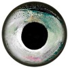 Brule Epoxy Fish Eyes (Sleet, 11mm)