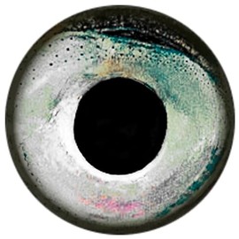 Brule Epoxy Fish Eyes (Sleet, 11mm)