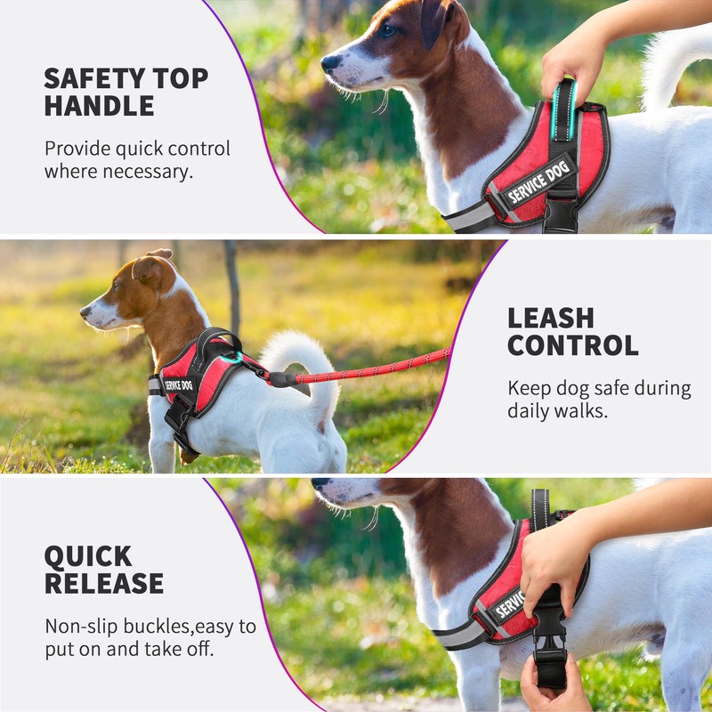 Service Dog Vest, DEWVIE Dog Harness and Leash Set with
