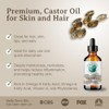 Bella Terra Oils Aceite de ricino, 16 onzas, 100% puro